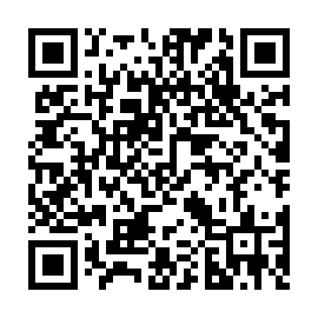 QR code for 208MWS