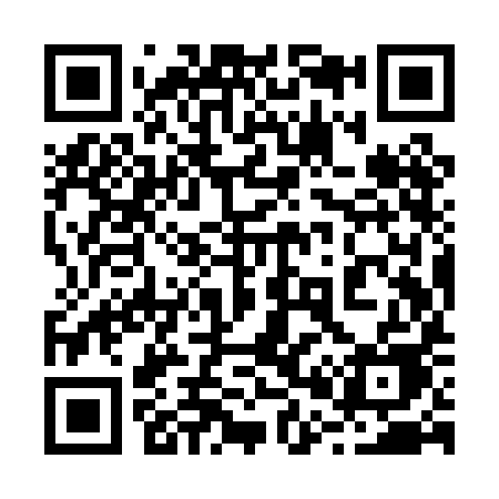 QR code for 209PIE