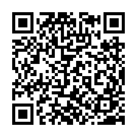 QR code for 209RUR