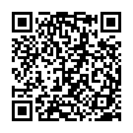 QR code for 210IDI