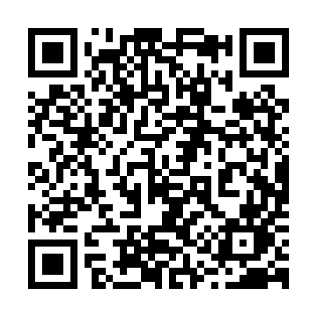 QR code for 210PUN