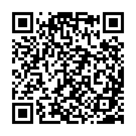 QR code for 210QLH