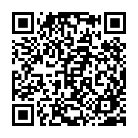 QR code for 211PIG