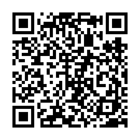 QR code for 213FFH