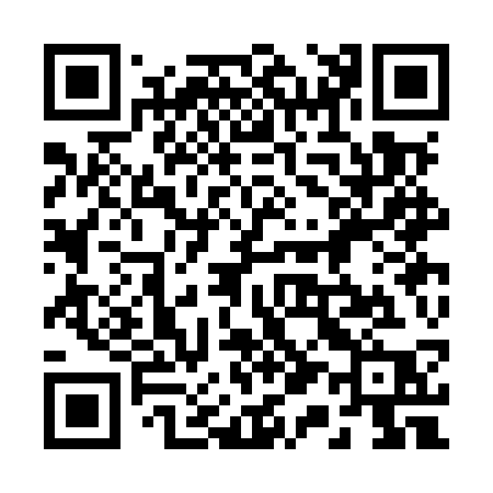 QR code for 213MSP