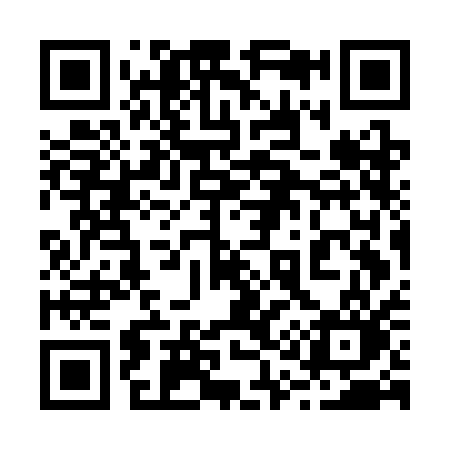 QR code for 217CAO