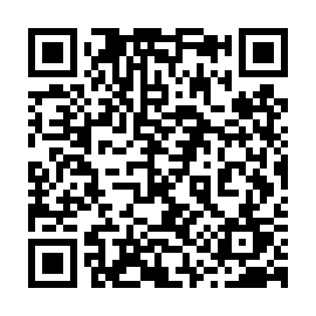 QR code for 217DST