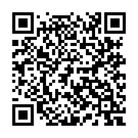 QR code for 217HAN