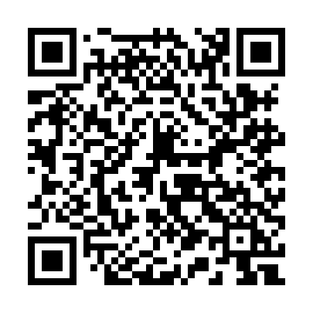 QR code for 217HDI