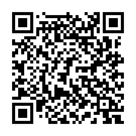 QR code for 217IFA
