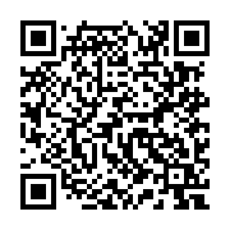 QR code for 217MIS
