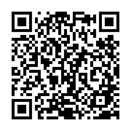 QR code for 217TLE