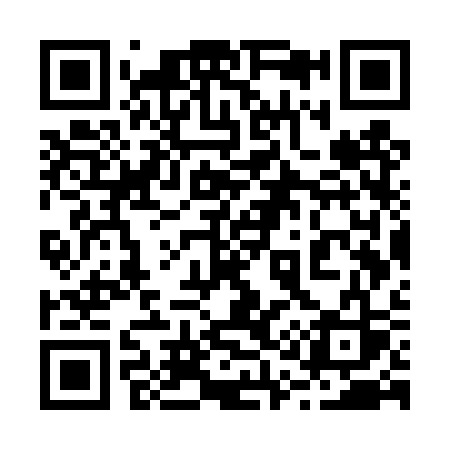 QR code for 217TSS