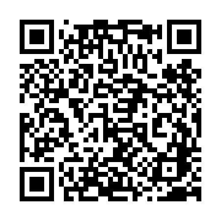 QR code for 219DDC