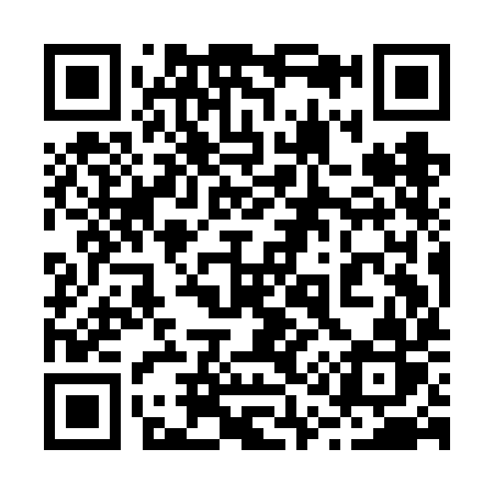QR code for 219FIR