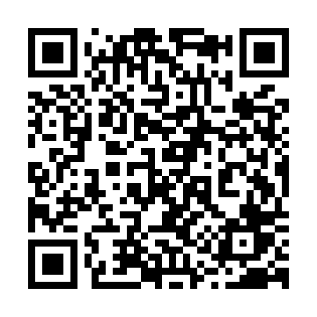 QR code for 219MPV