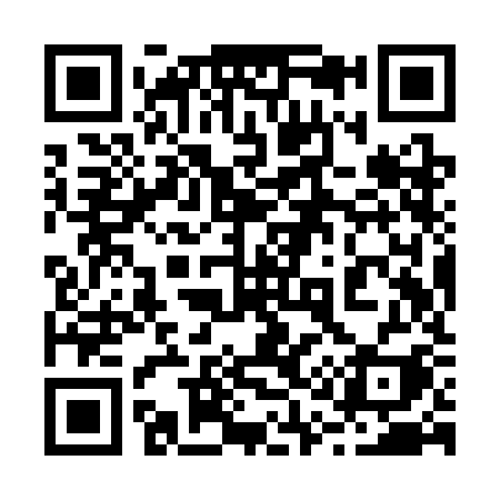 QR code for 219SKI