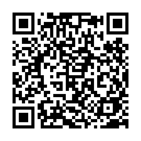 QR code for 219TIE