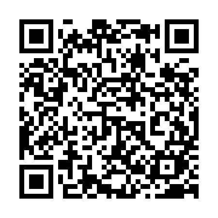 QR code for 221IMM