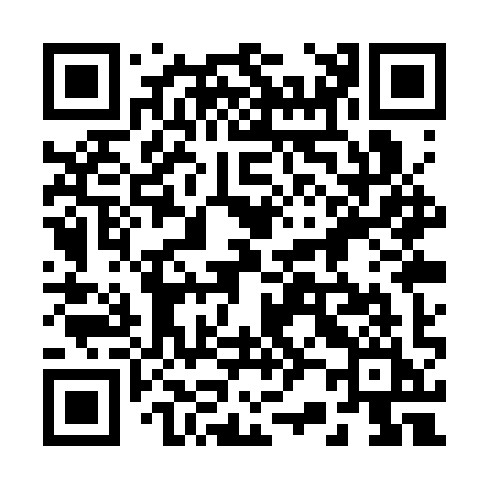 QR code for 221SYI