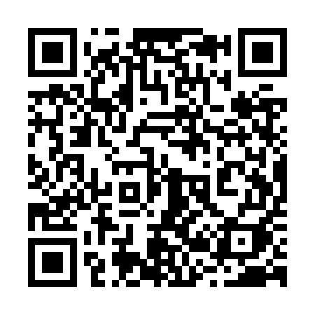 QR code for 221ZUI