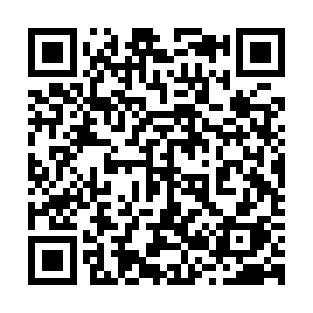 QR code for 222ISH