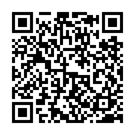 QR code for 223GAS