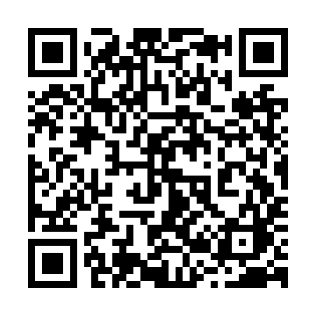 QR code for 223NYC