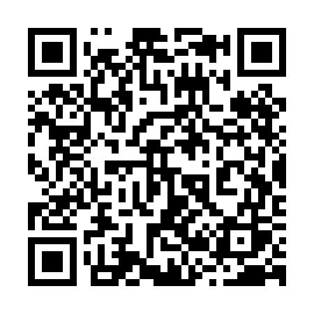 QR code for 223PGS