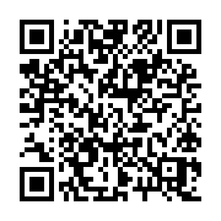 QR code for 225IIP