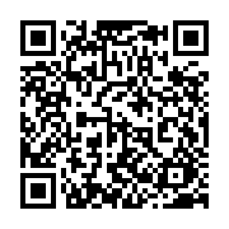 QR code for 225IJO