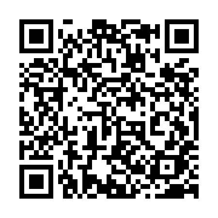 QR code for 225MHH