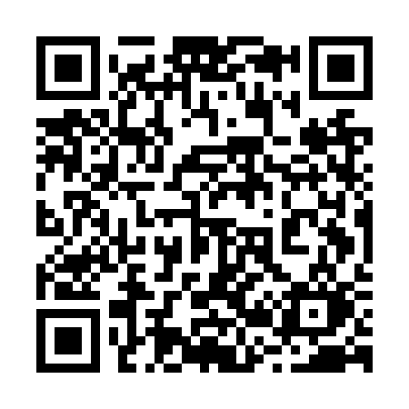 QR code for 225NSO