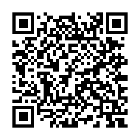 QR code for 225TIR