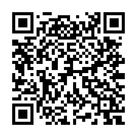QR code for 225TTX