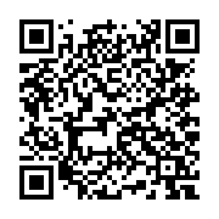 QR code for 226NES