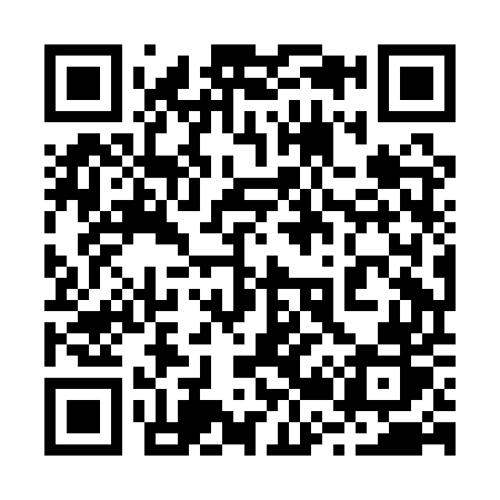 QR code for 228AUR