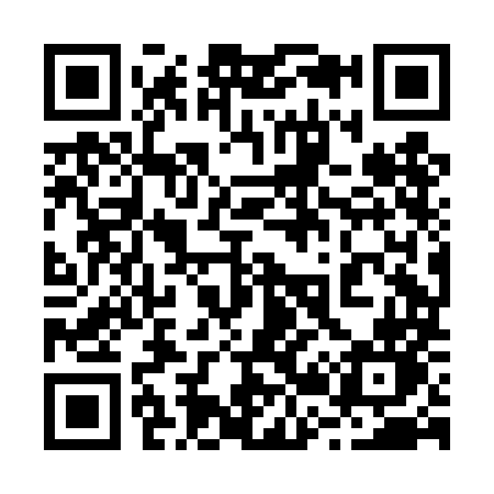 QR code for 228DMN
