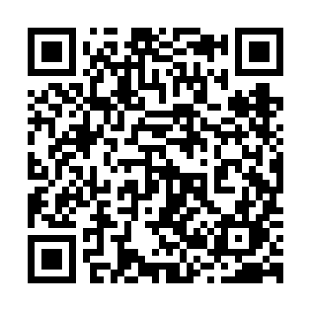 QR code for 228FIL