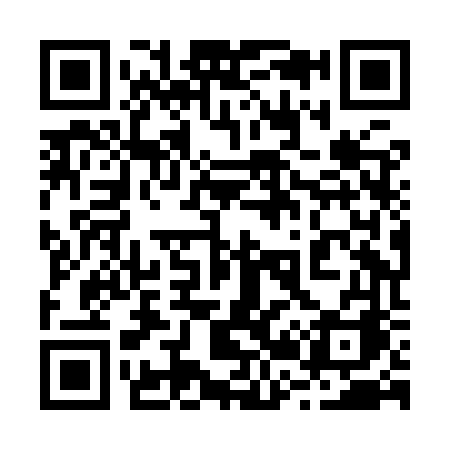QR code for 228IVA