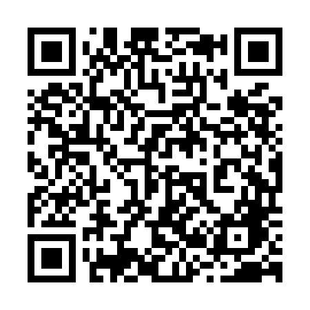 QR code for 228MDG