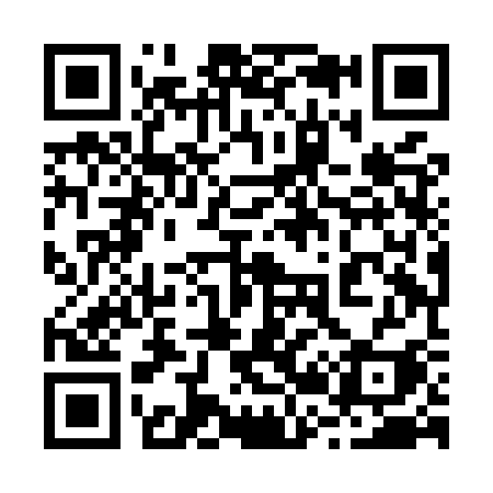 QR code for 228MSI