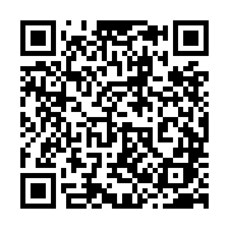 QR code for 228OLH