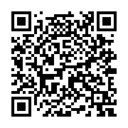 QR code for 228PIP