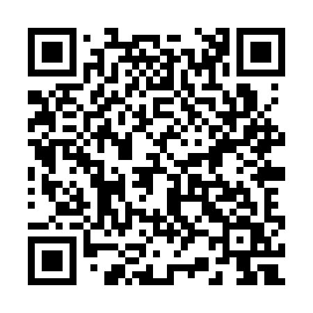 QR code for 228SYV