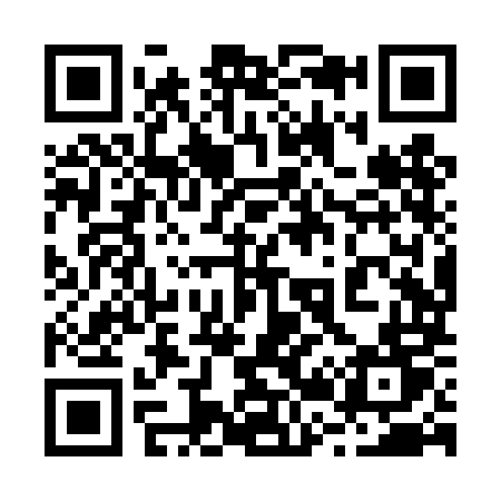 QR code for 228TMT