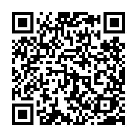 QR code for 228TOK