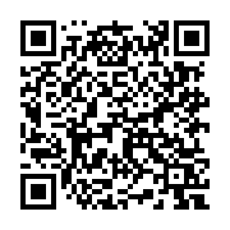 QR code for 229MNS
