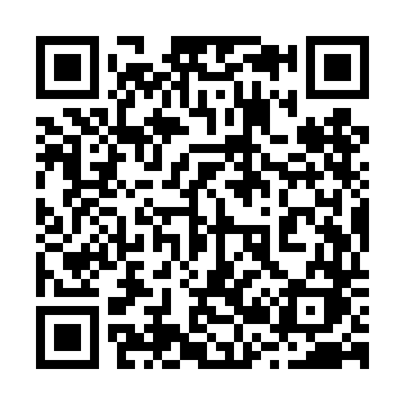 QR code for 229TDK