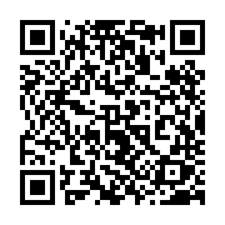 QR code for 233PNX